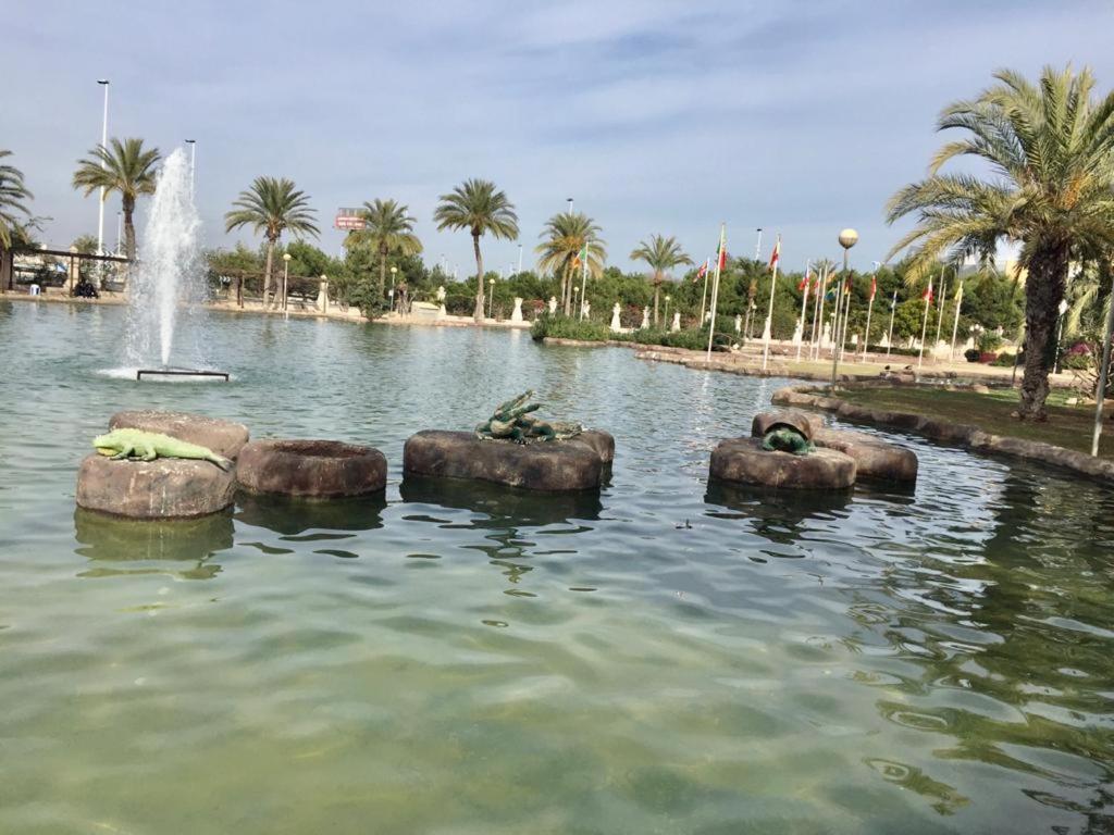 Apartamento Felix De La Fuente Torrevieja Buitenkant foto